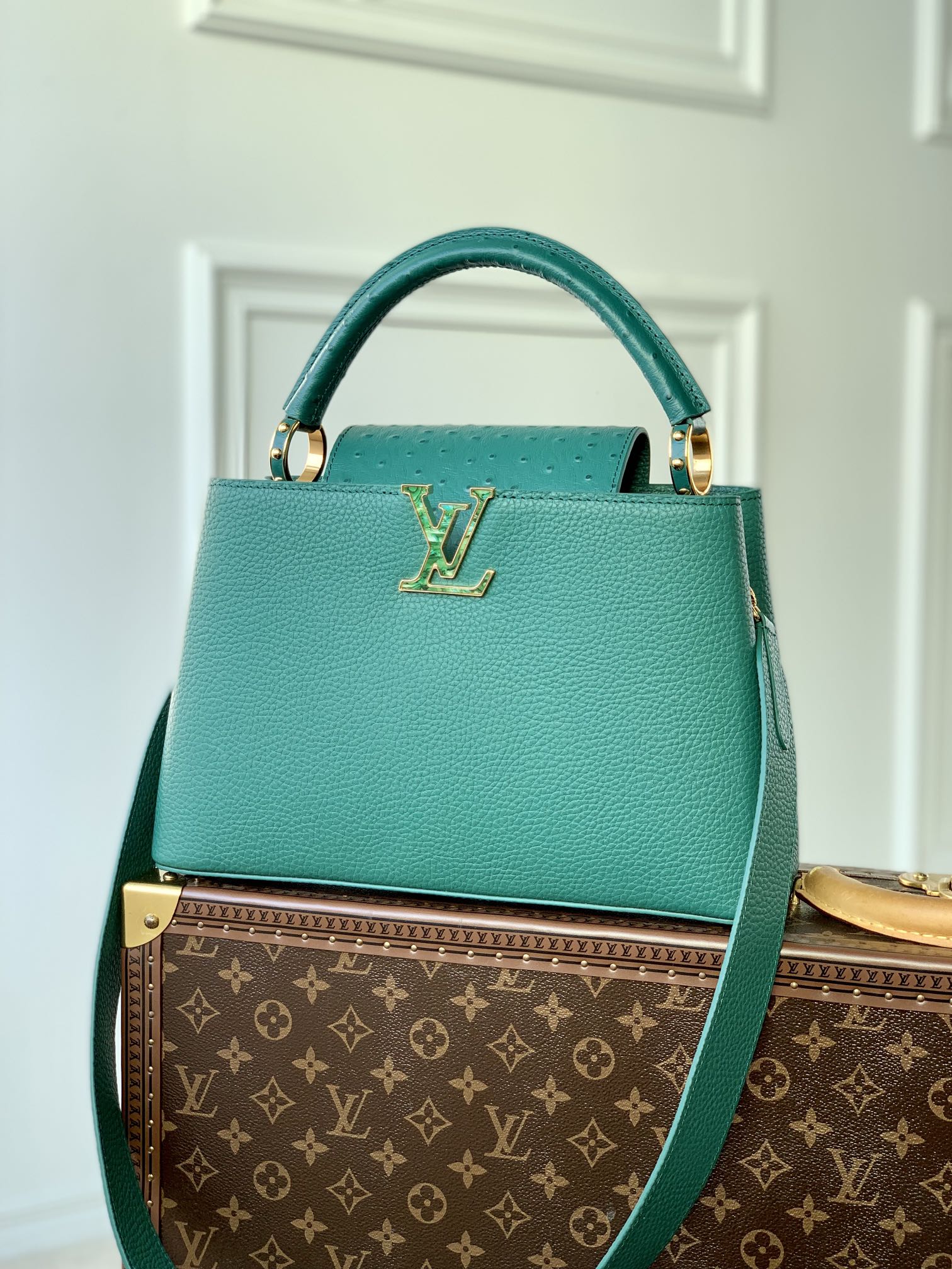 Louis_Vuitton_Capucines_
