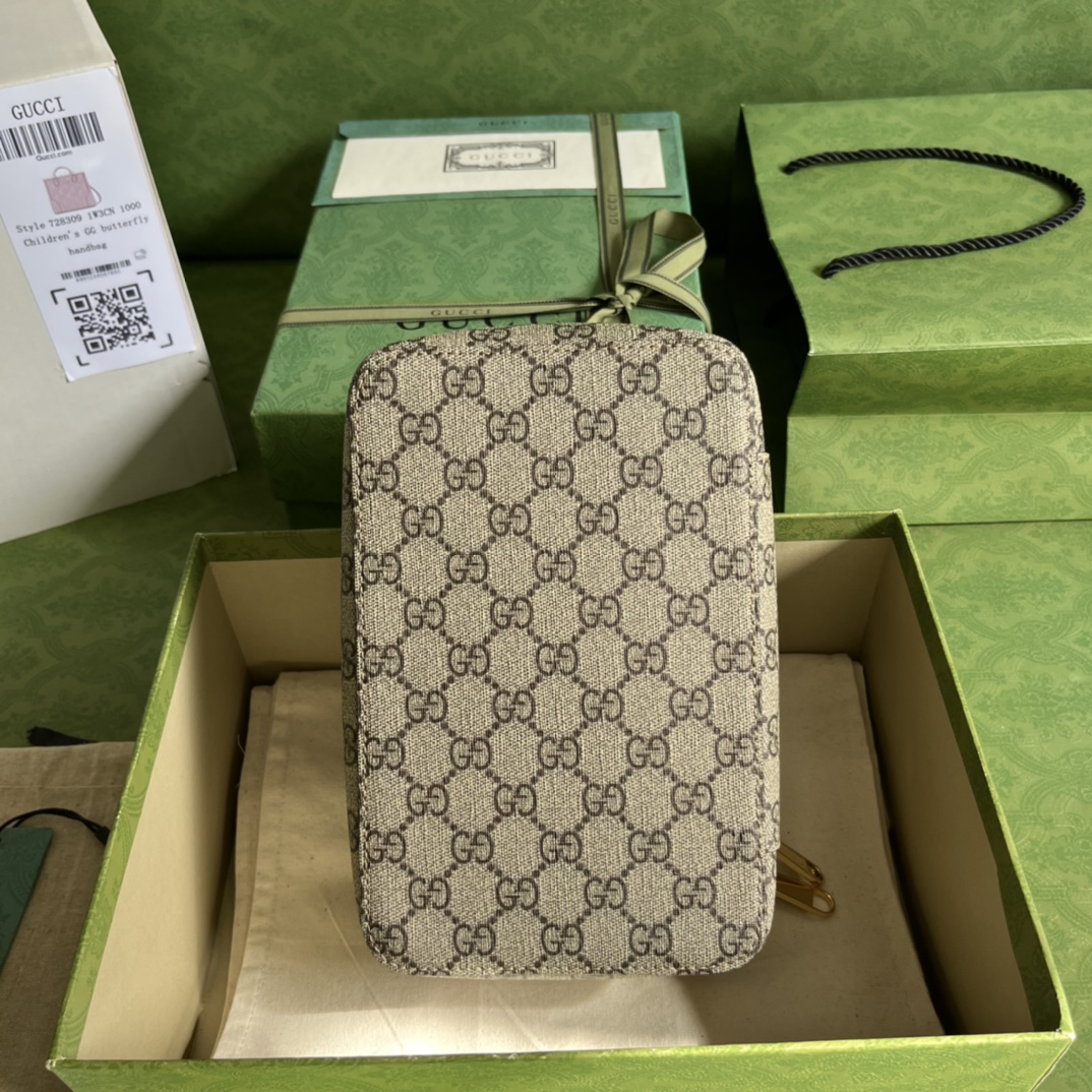 Gucci_Pouch-22_8_14CM