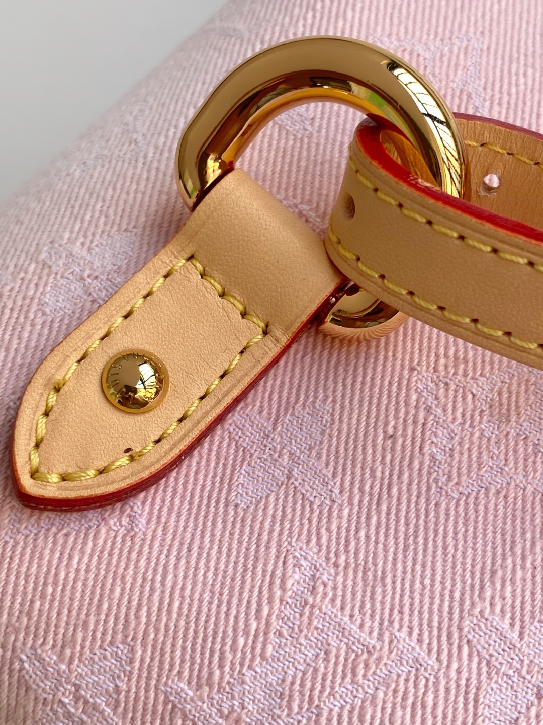 LV Backpack 7