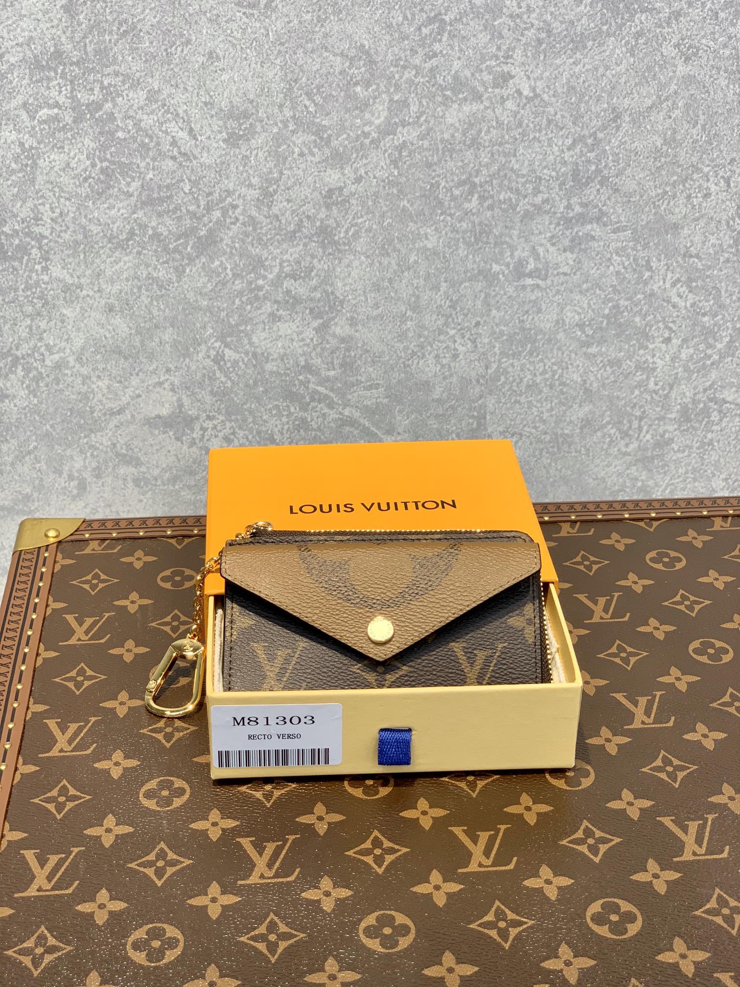 Louis_Vuitton_M81303_Rec
