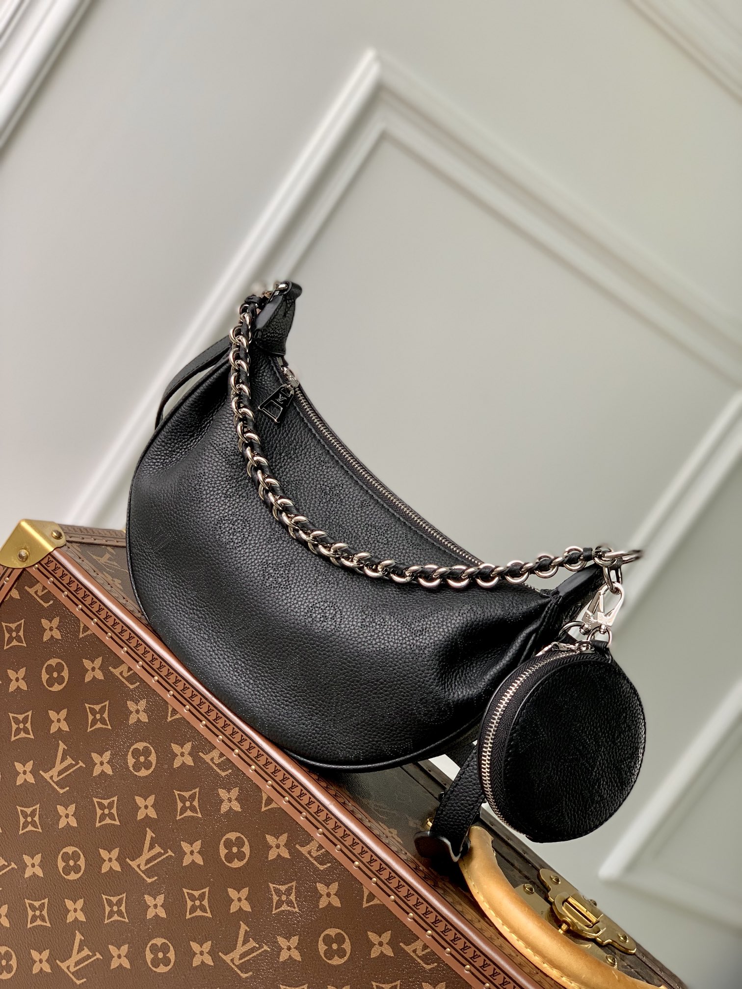 Louis_Vuitton_Baia_Bag-2