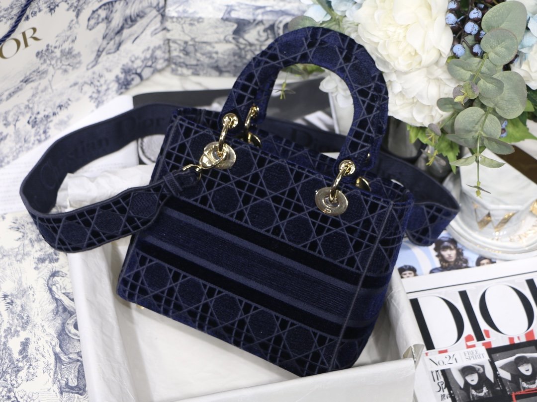 Lady_Diro_Handle_Bag-24C
