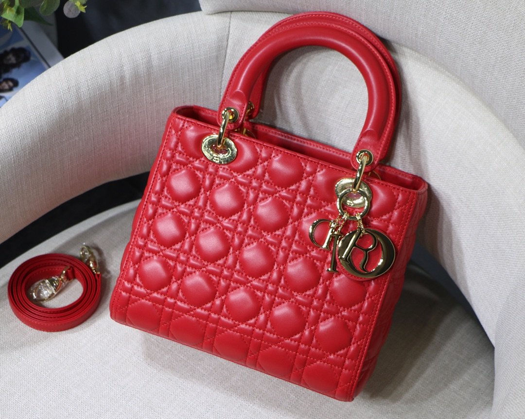 Lady_Diro_Handle_Bag_Wit