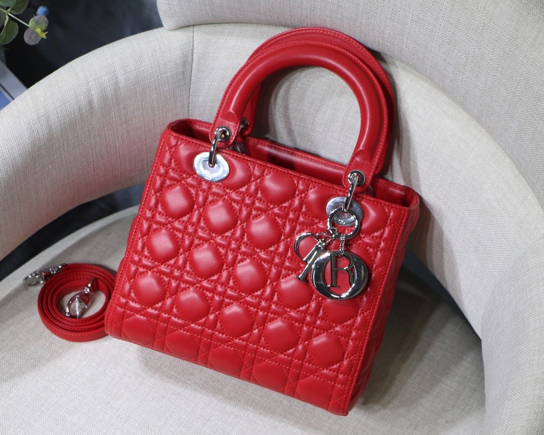 Lady_Diro_Handle_Bag_Wit