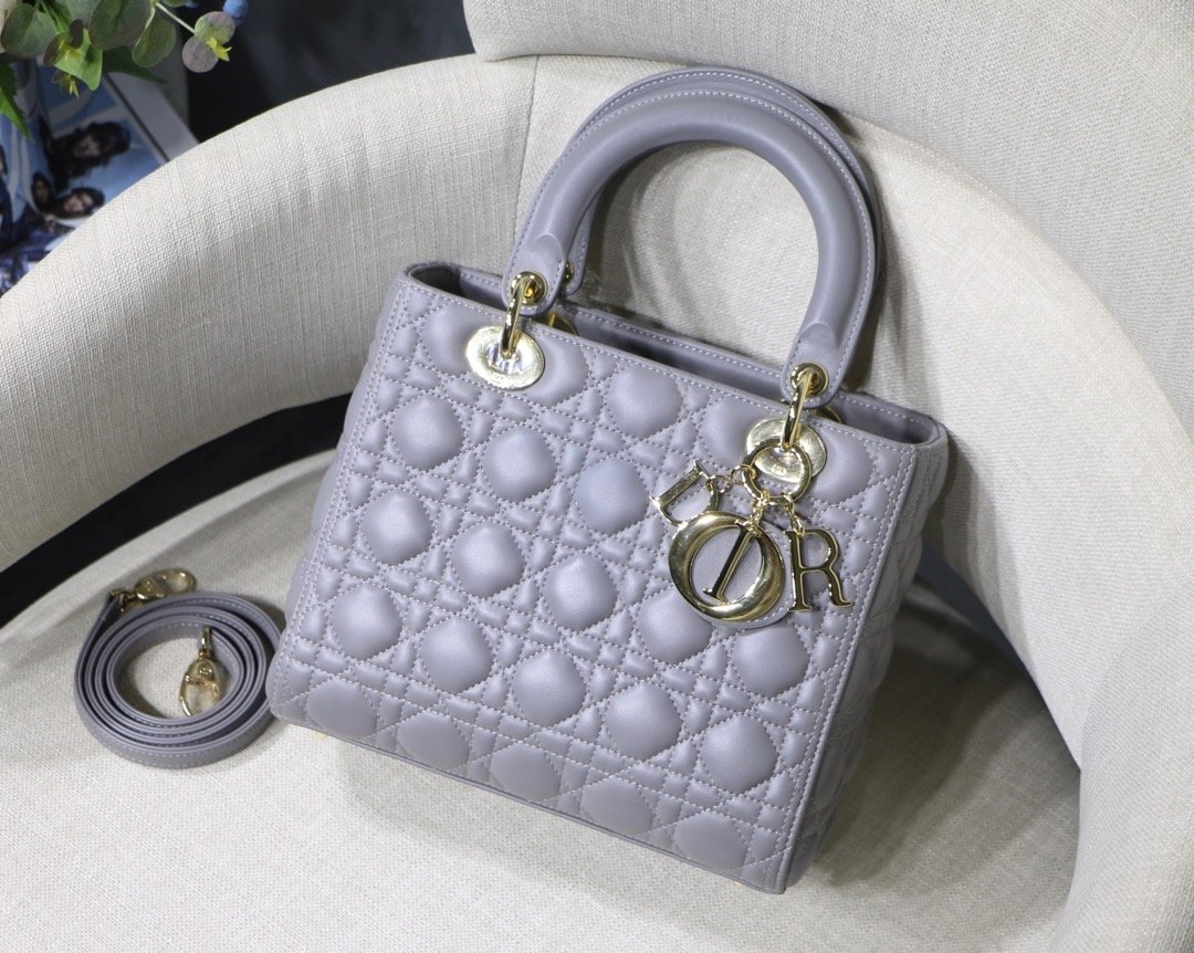 Lady_Diro_Handle_Bag-24C