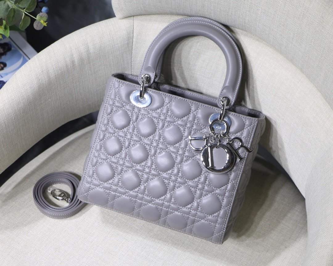 Lady_Diro_Handle_Bag-24C