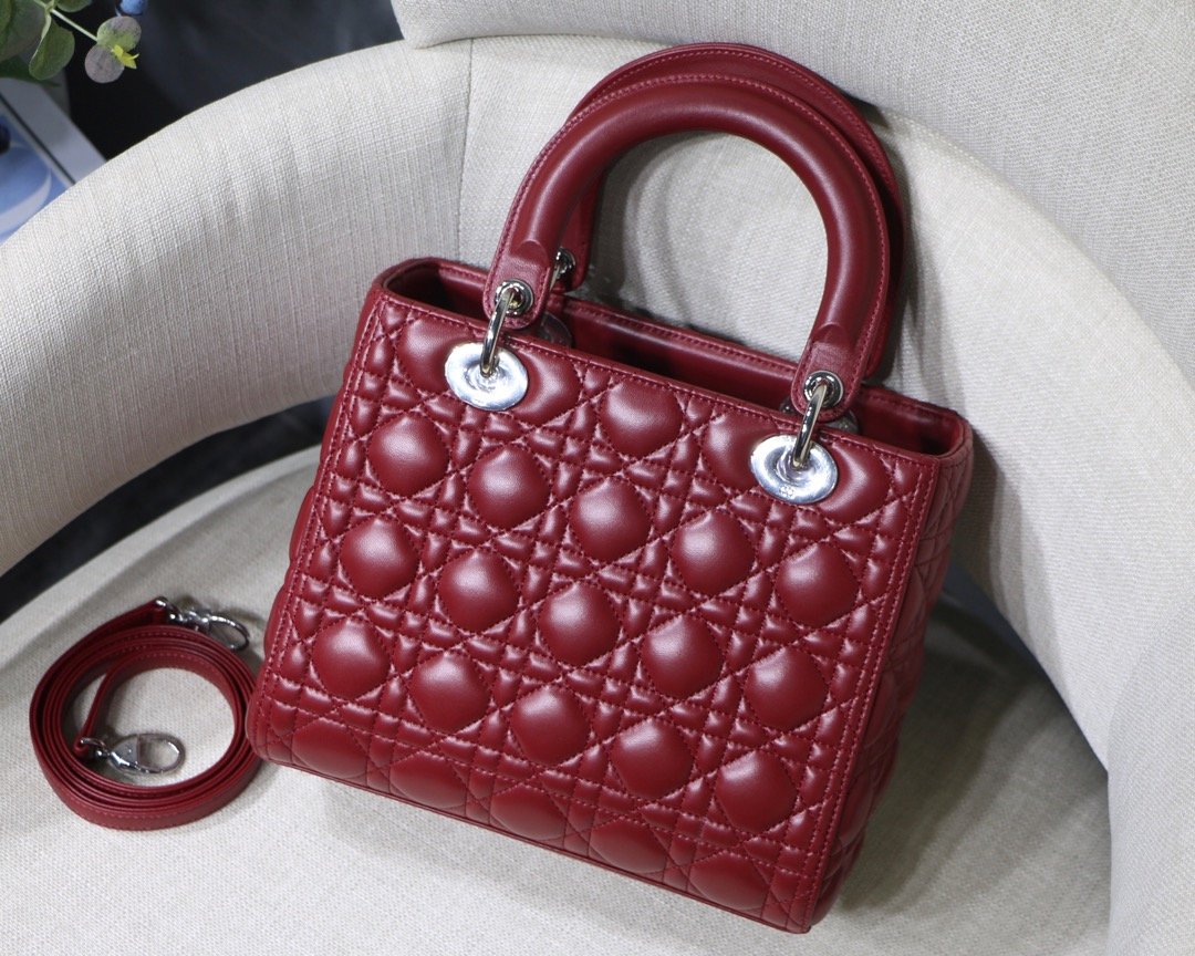 Lady_Diro_Handle_Bag-24C