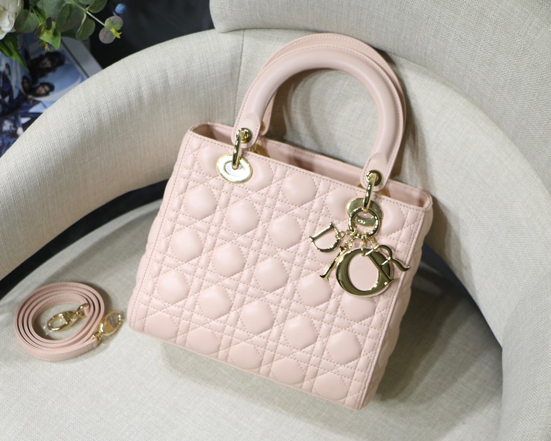 Lady_Diro_Handle_Bag-24C