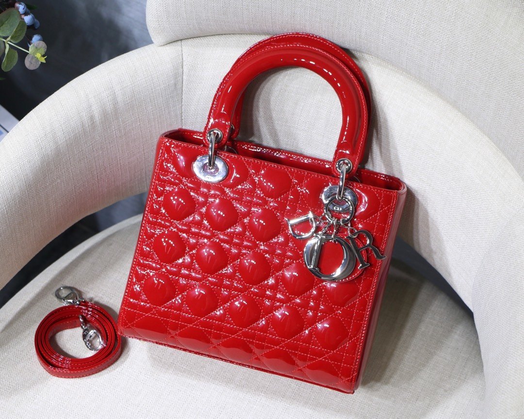 Lady_Diro_Handle_Bag-24C