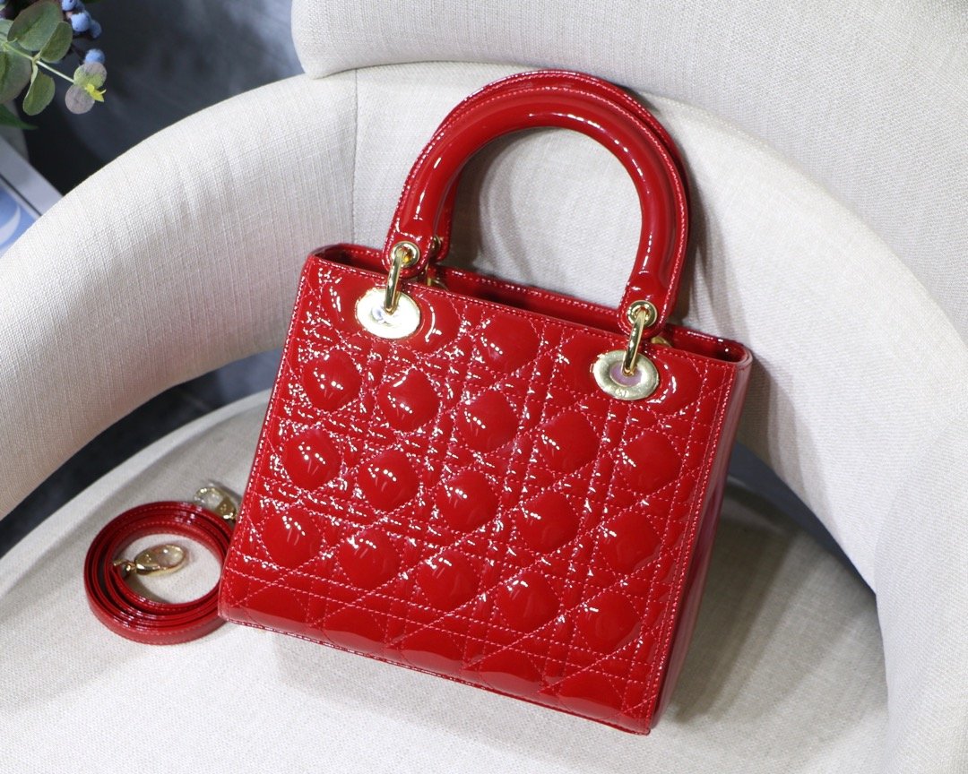 Lady_Diro_Handle_Bag-24C
