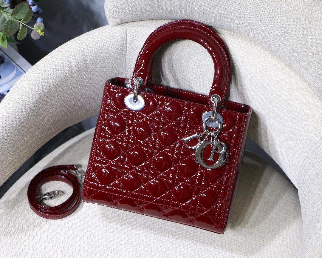 Lady_Diro_Handle_Bag-24C