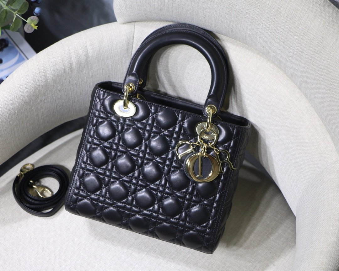 Lady_Diro_Handle_Bag-24C