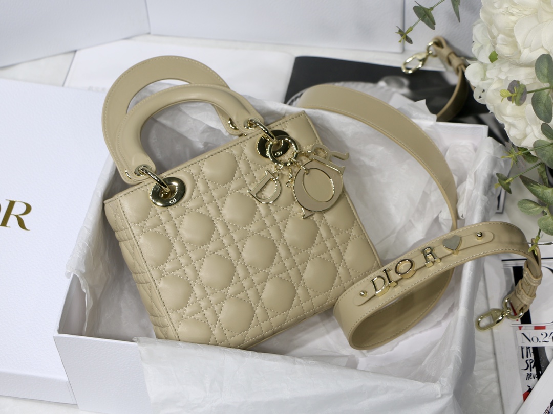 Lady_Diro_Handle_Bag-24C