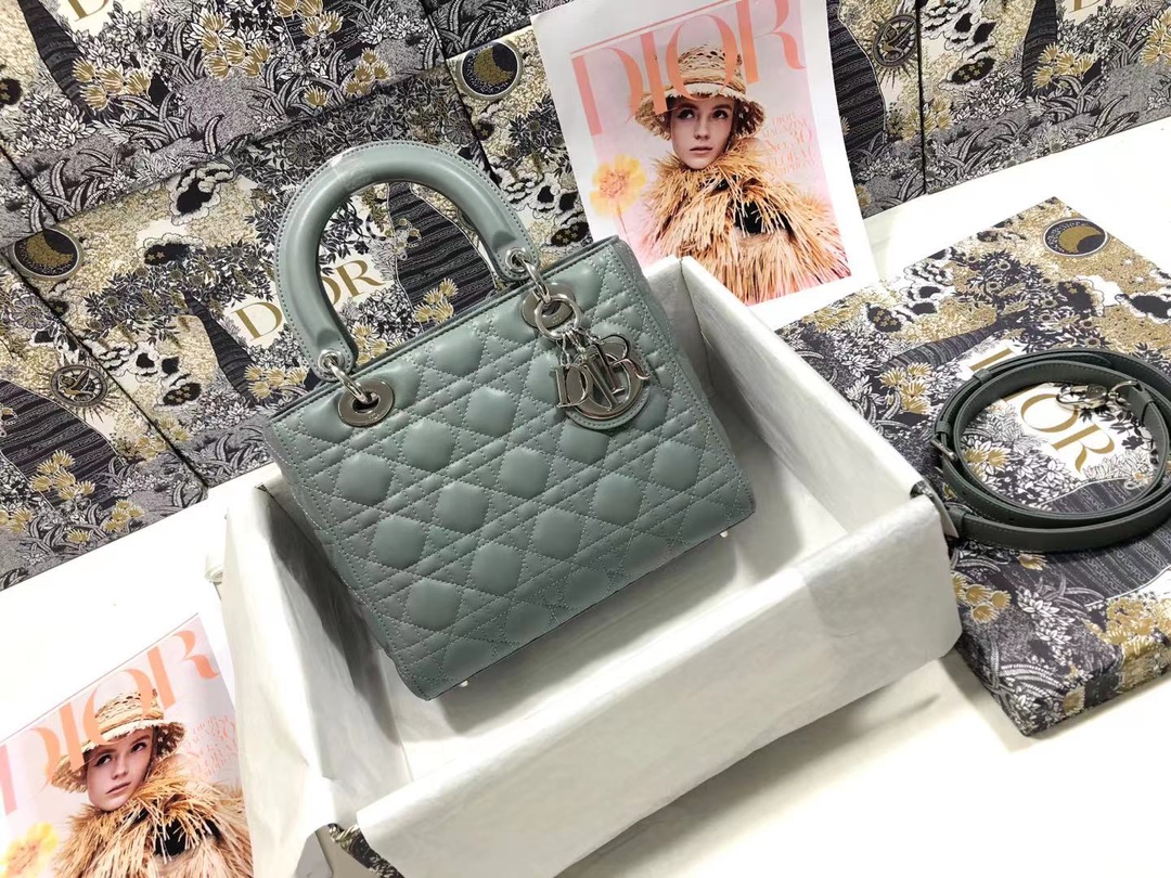 Lady_Diro_Handle_Bag-24C