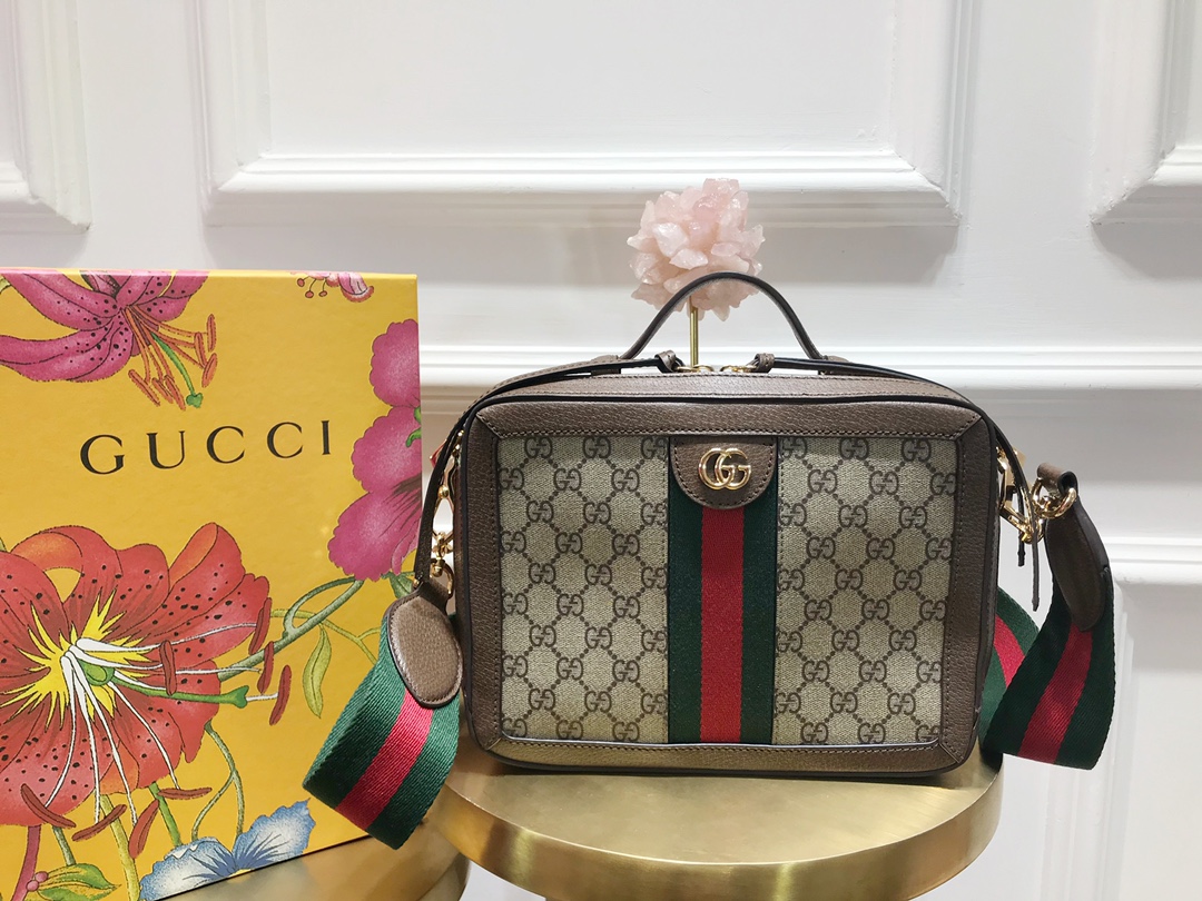 Gucci_Ophidia_Tote-25_20