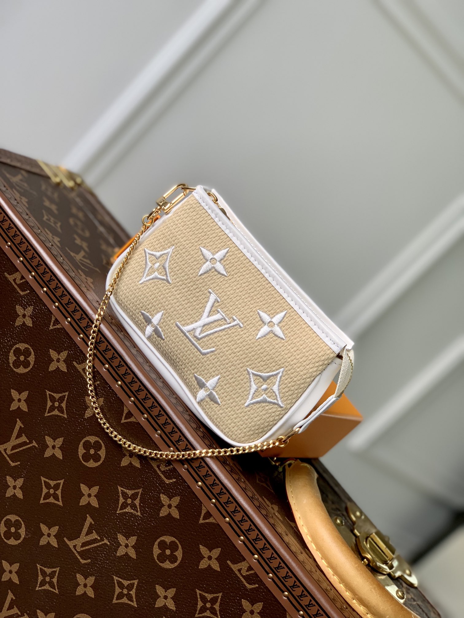 Louis_Vuitton_Mini_Poche