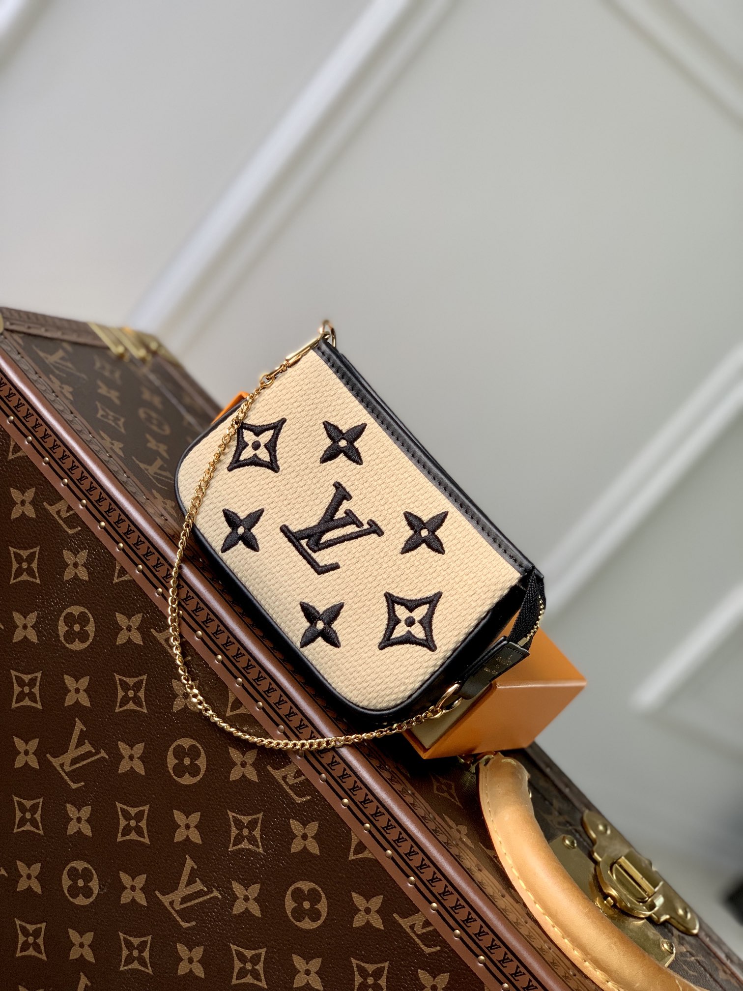 Louis_Vuitton_Mini_Poche