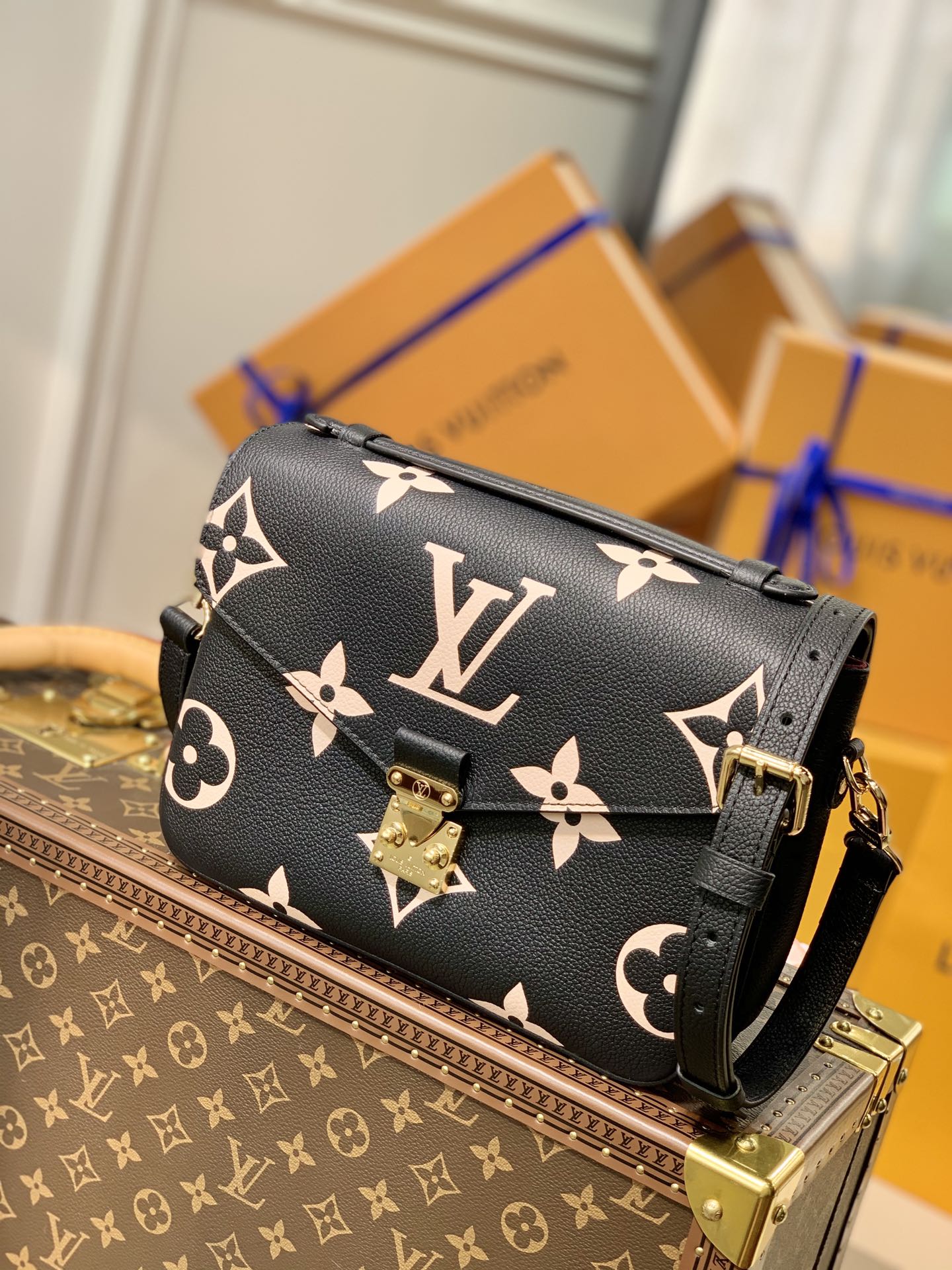 Louis_Vuitton_Pochette_M