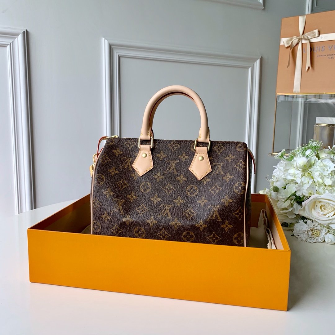 Louis_Vuitton_Speedy_25-