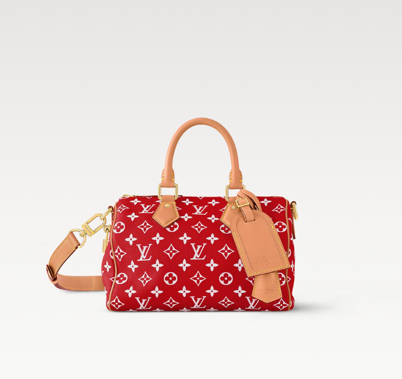 LOUIS_VUITTON_SPEEDY_P9_