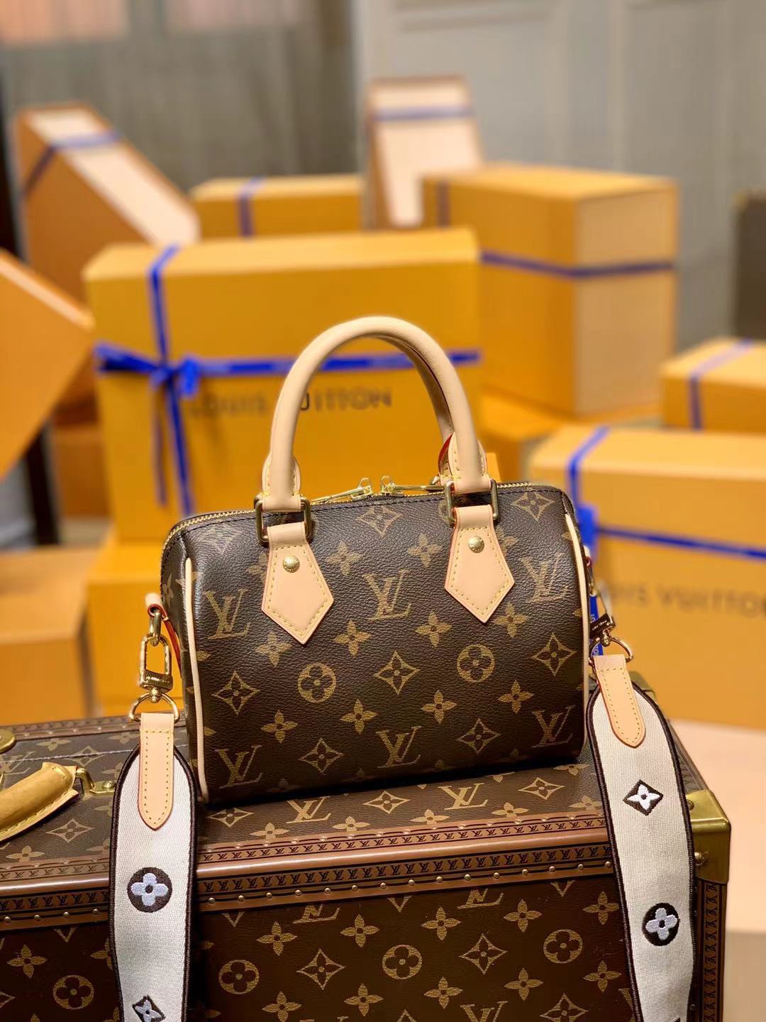 Louis_Vuitton_Speedy-M41