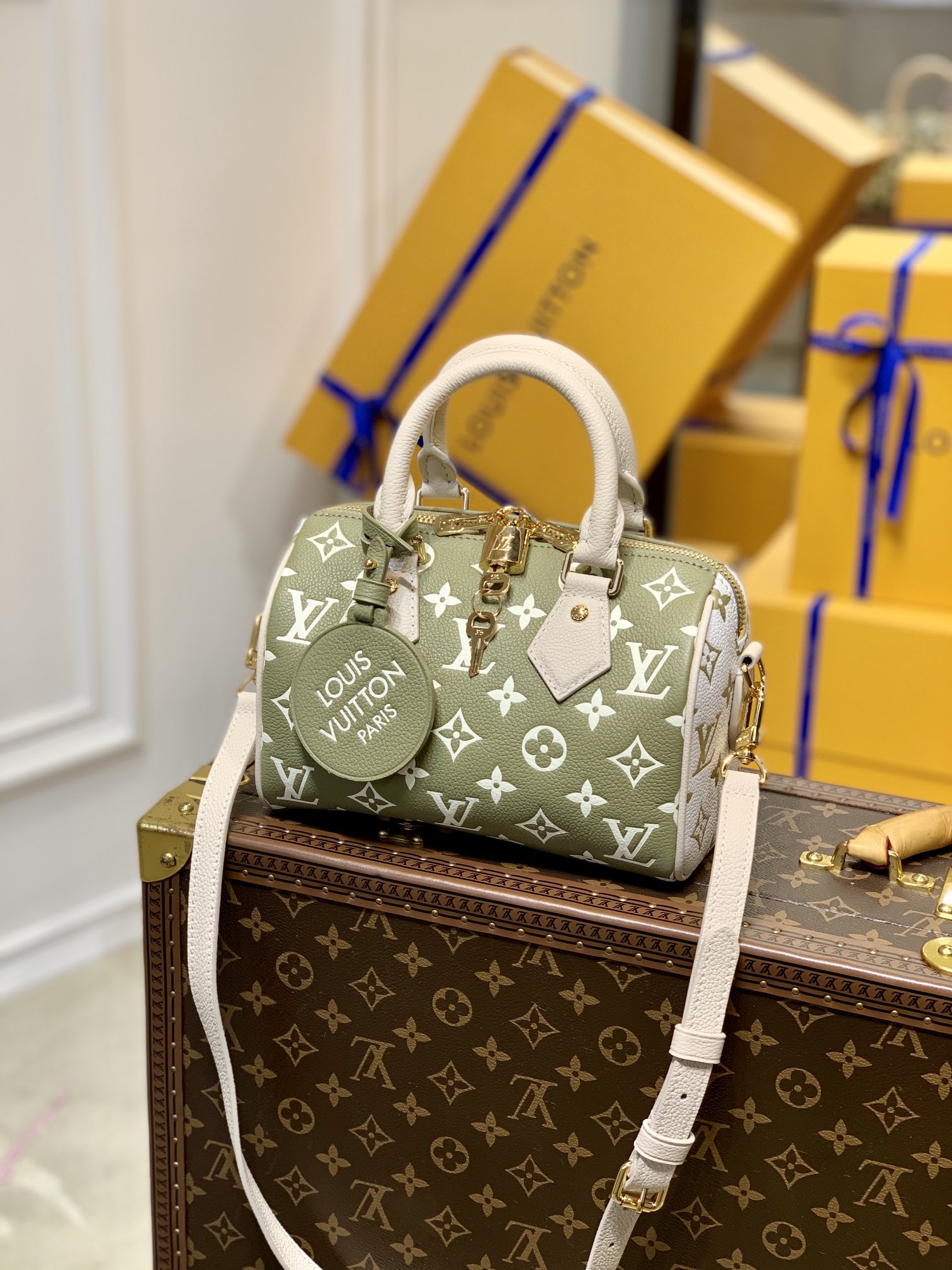 Louis_Vuitton_Speedy_Ban