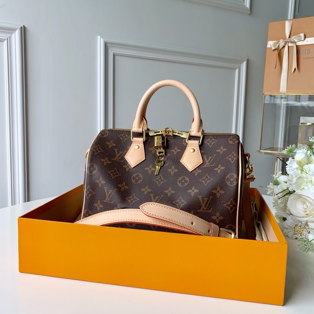 Louis_Vuitton_Speedy_Ban