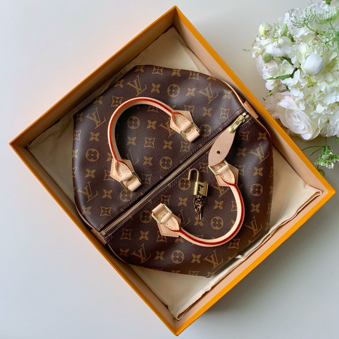 Louis_Vuitton_Speedy-30x