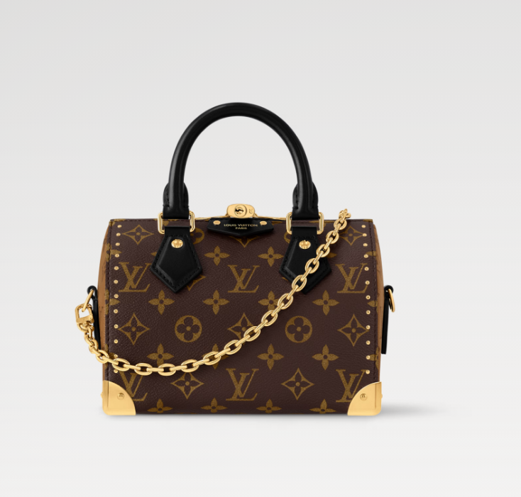 LOUIS_VUITTON_Speedy_Tru