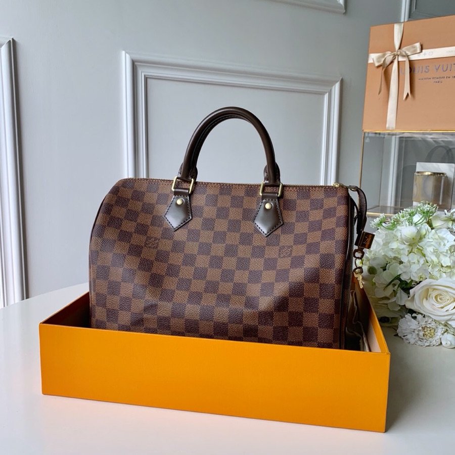 Louis_Vuitton_Speedy-30x