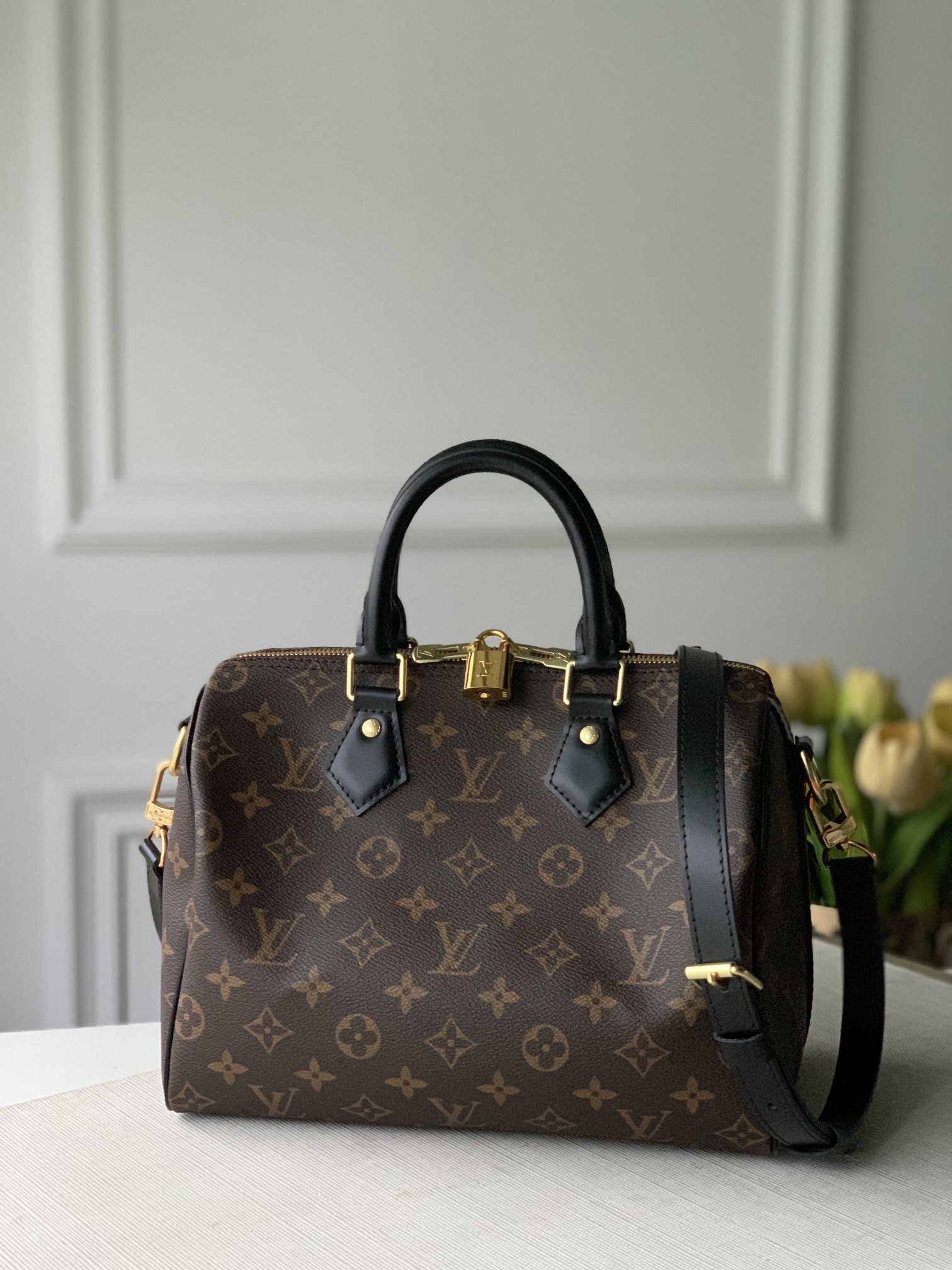 Louis_Vuitton_Speedy_Ban