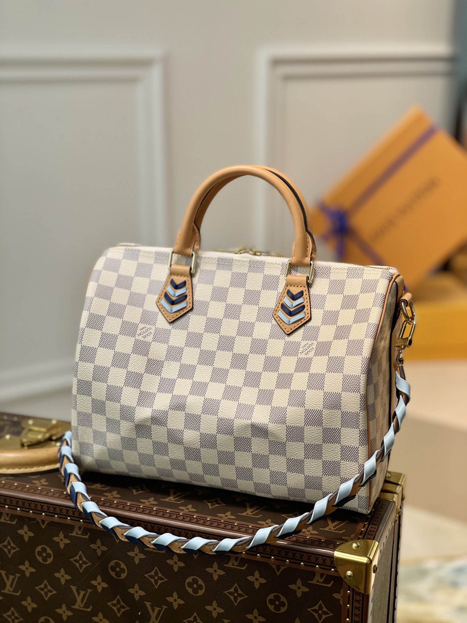 Louis_Vuitton_Speedy-30x