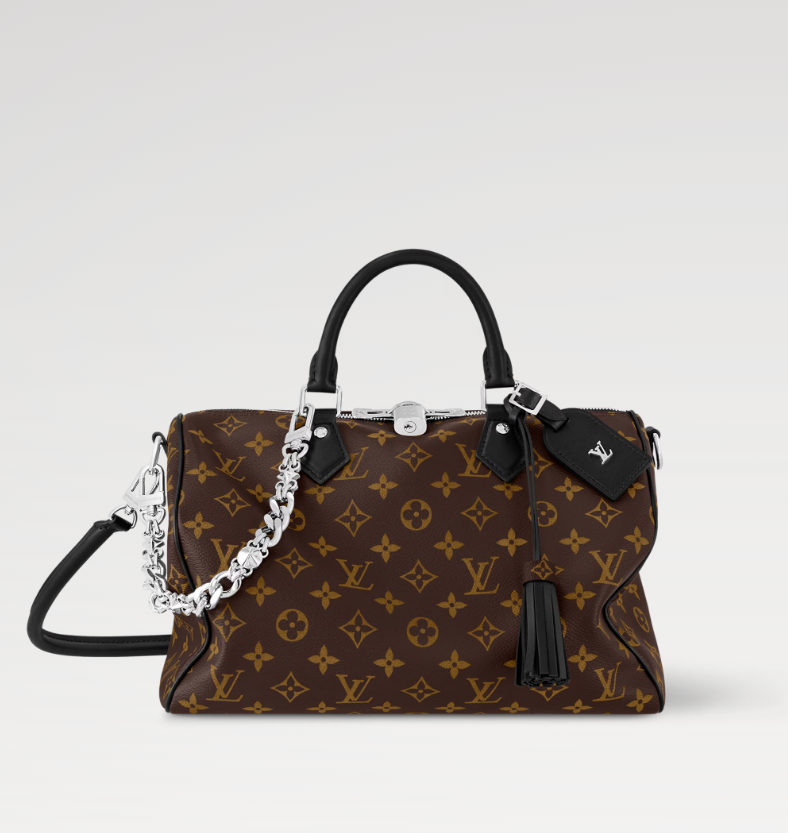 LOUIS_VUITTON_SPEEDY_SOF